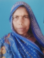 Ashok Devi